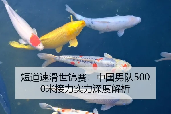 短道速滑世锦赛：中国男队5000米接力实力深度解析