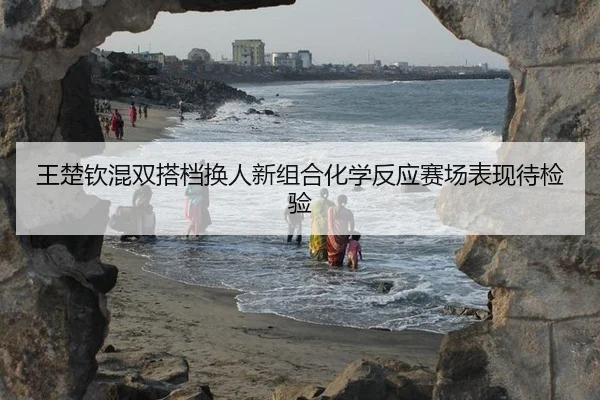 wang-chu-qin-hun-shuang-da-dang-huan-ren-xin-zu-he-hua-xue-fan-ying-sai-chang-biao-xian-dai-jian-yan-2-326.jpg