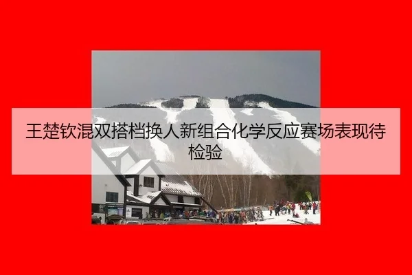 wang-chu-qin-hun-shuang-da-dang-huan-ren-xin-zu-he-hua-xue-fan-ying-sai-chang-biao-xian-dai-jian-yan-3-493.jpg