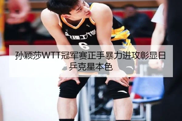 sun-ying-sha-guan-jun-sai-zheng-shou-bao-li-jin-gong-zhang-xian-ri-ping-ke-xing-ben-se-2-238.jpg